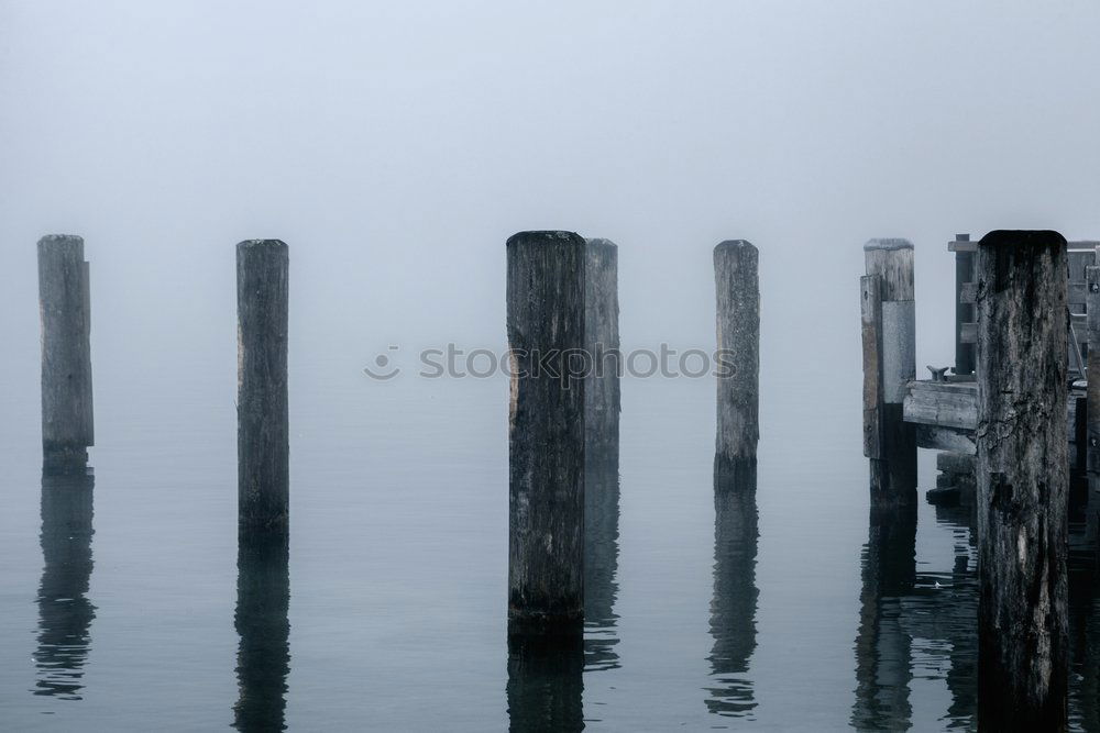 Similar – Bridge in Bodden Landscape