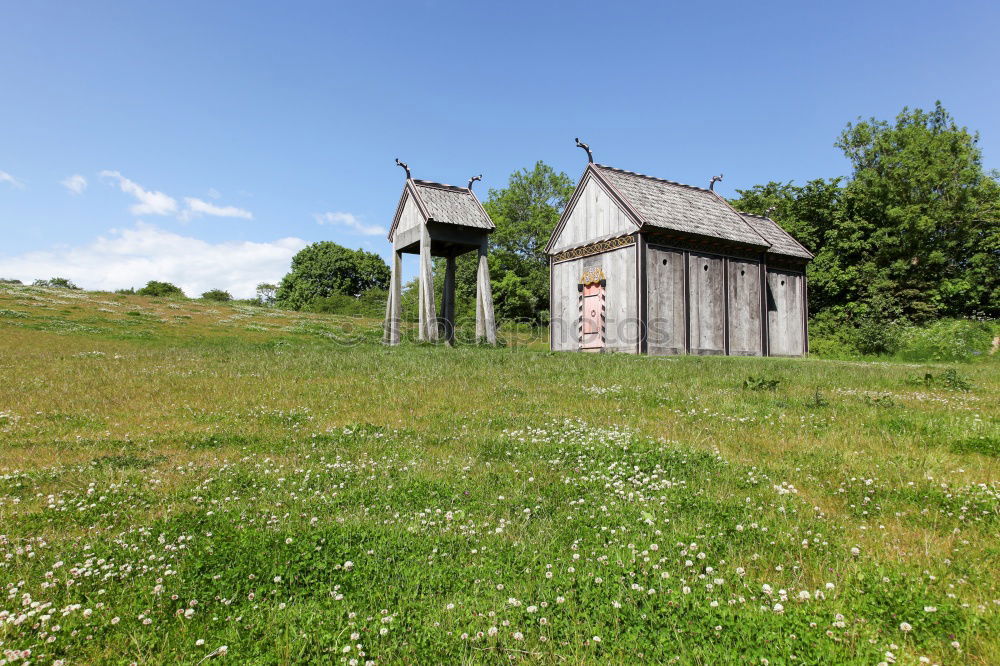 Similar – cow pasture Meadow Green