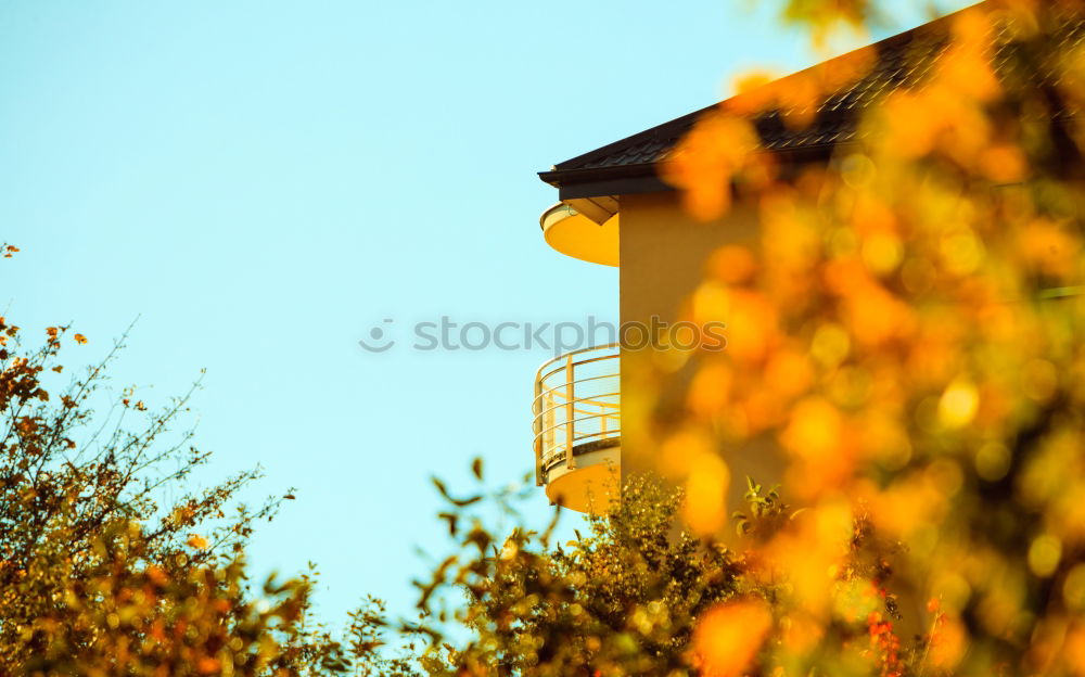 Similar – Image, Stock Photo end of season Garden Green