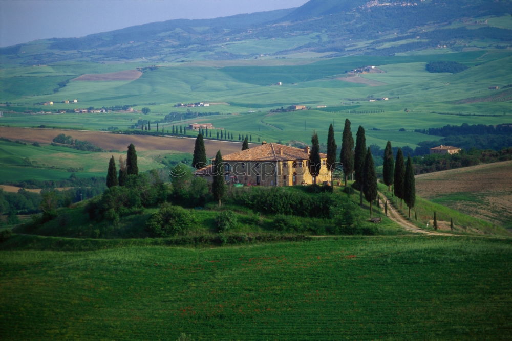 Similar – Church in wine Environment