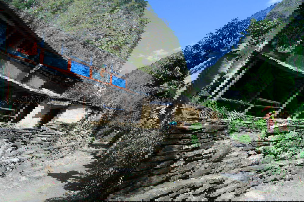 Similar – Foto Bild manali cow ruhig