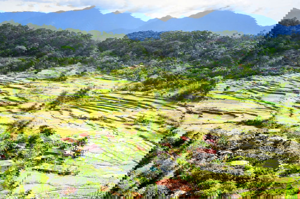 Similar – Foto Bild Landschaft der Rapsfelder und Berge im Frühjahr