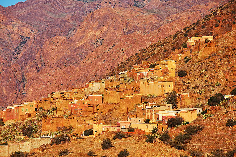 Similar – Image, Stock Photo Oasis Morocco I