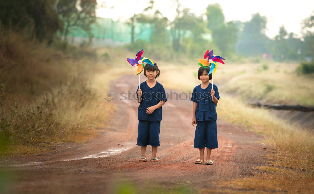 Similar – Indonesian Flowers Bali