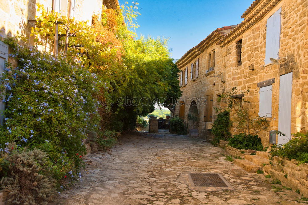 Similar – Image, Stock Photo Medieval village Monsaraz in the Alentejo Portugal