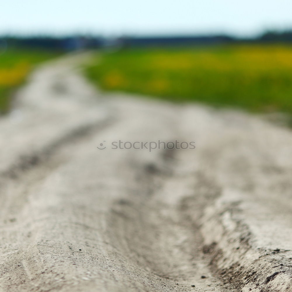 Similar – Image, Stock Photo curro Hiking Field