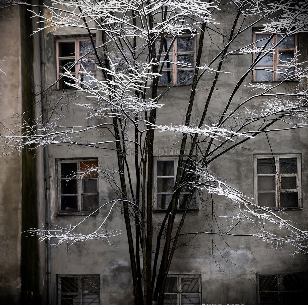 Similar – New York Haus Stadthaus