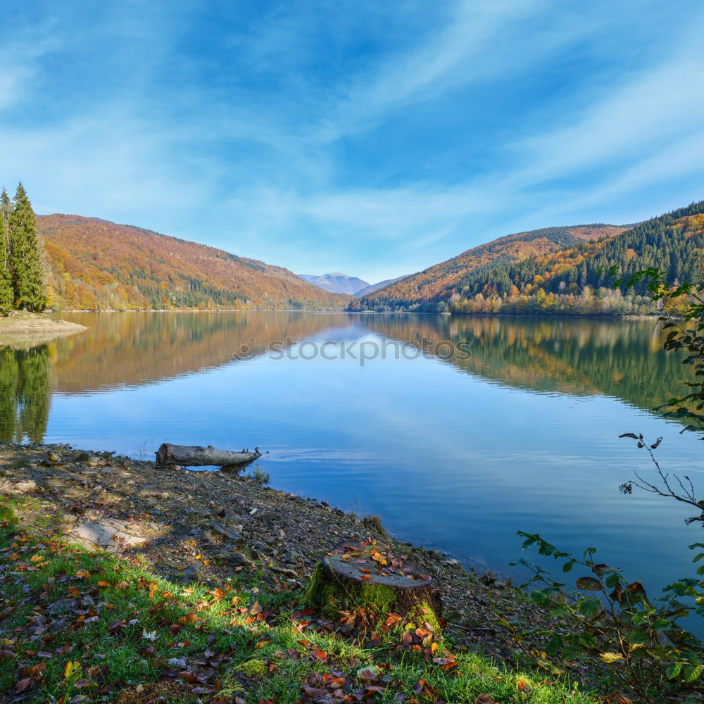 Similar – Foto Bild der herbst ist blau und grün