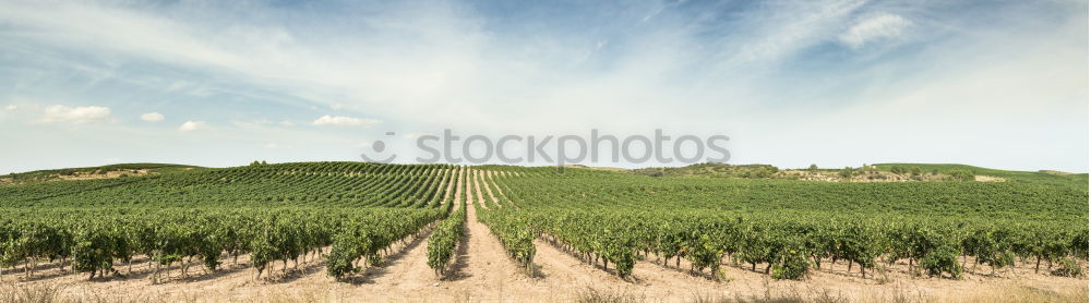 Similar – Wellen in der grünen Landschaft