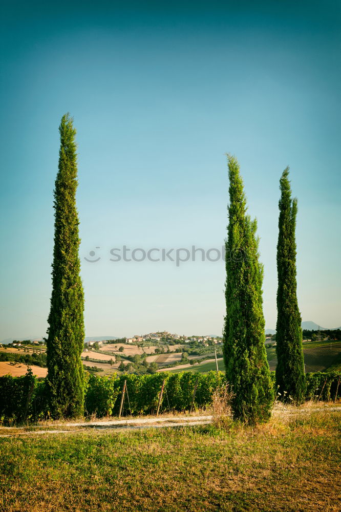 Image, Stock Photo o |||| Environment Nature