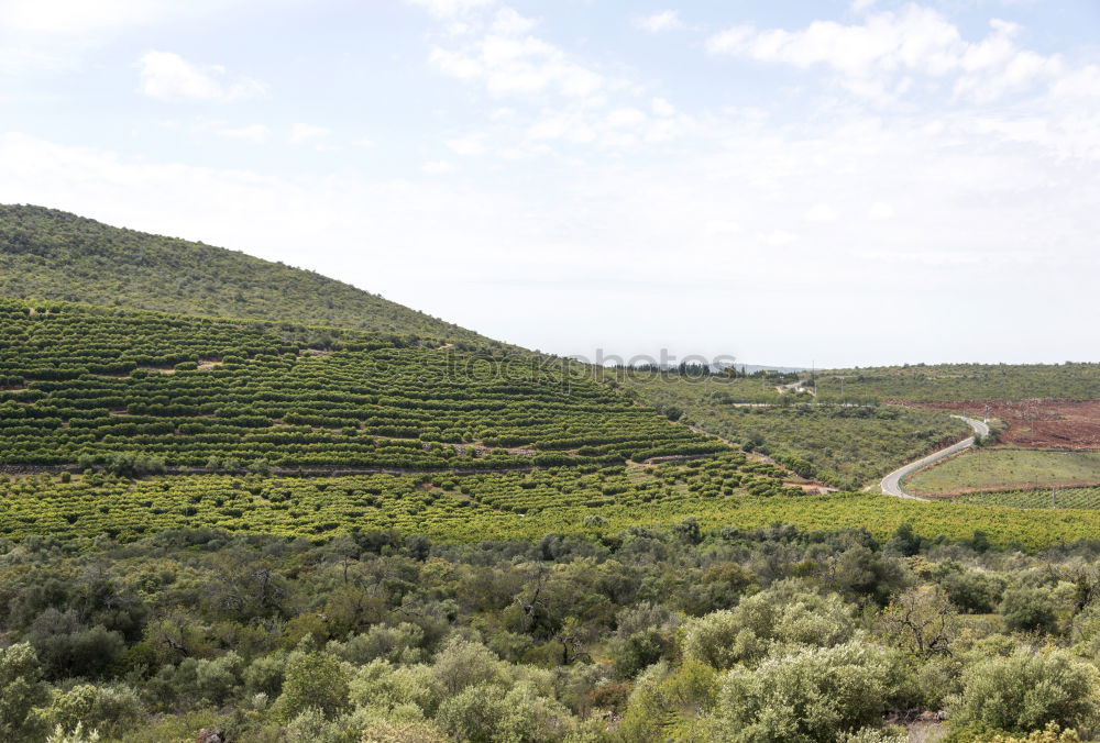 Similar – Foto Bild Mini-Straße in Andalusien