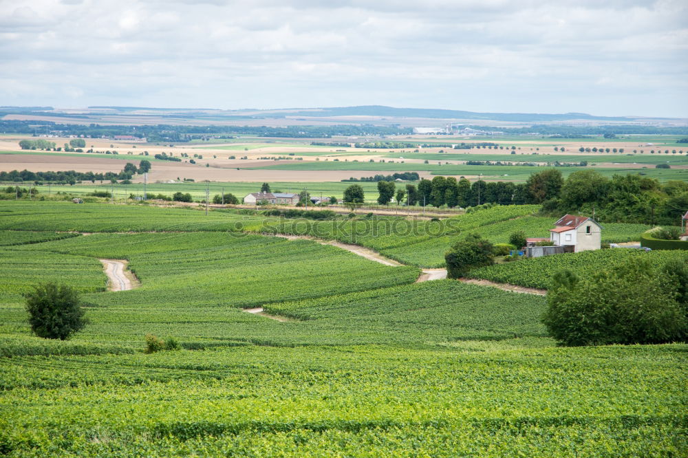 Similar – Image, Stock Photo CHAMANSÜLZ | arable land