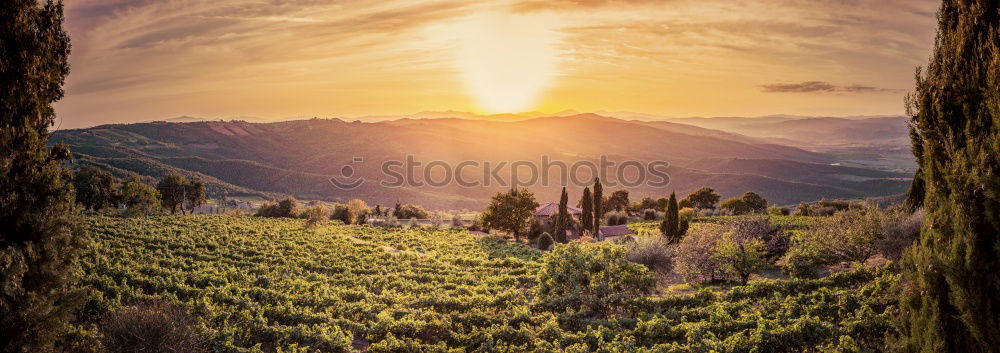 Similar – Panorama mountain landscape at sunset. Valley during sunrise.