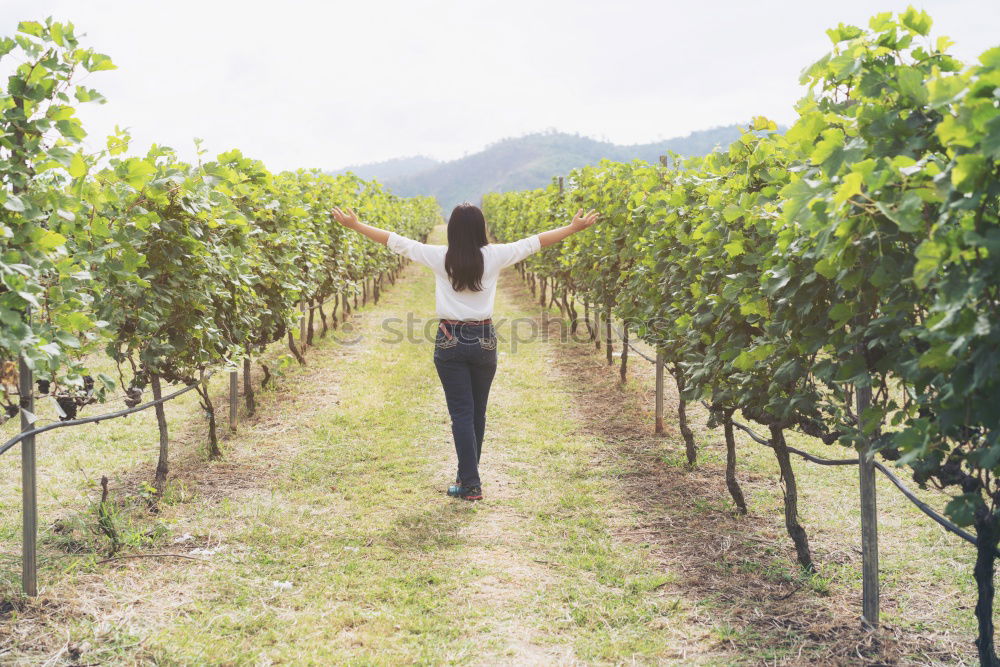 Similar – Young black woman eating a grape in a vineyard