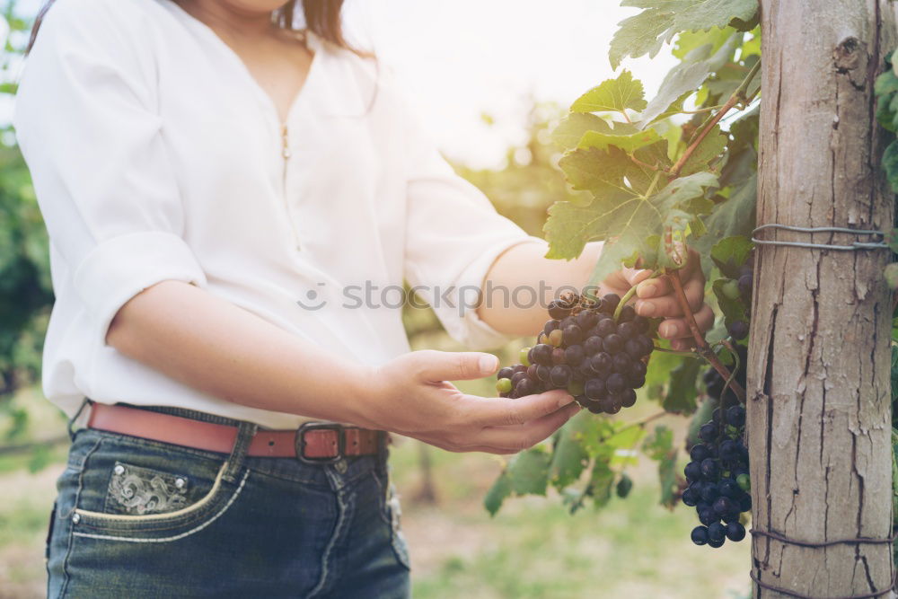 Young black woman eating a grape in a vineyard