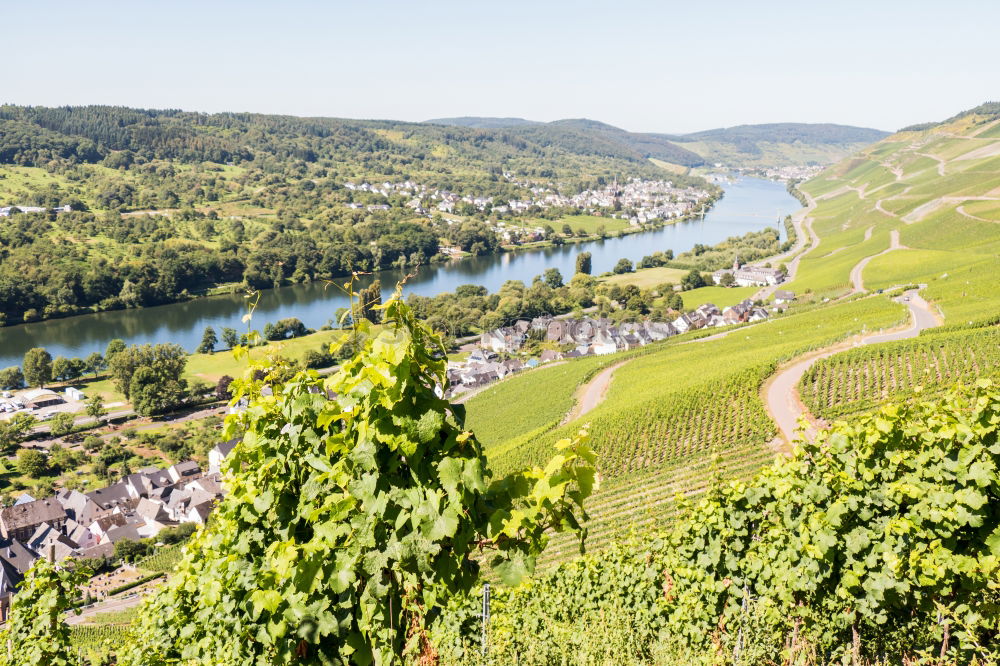 Similar – View of Bremm on the Mosel with Mosel loop