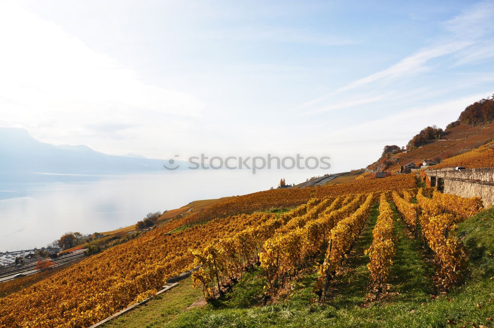 Similar – Image, Stock Photo Village at the lake