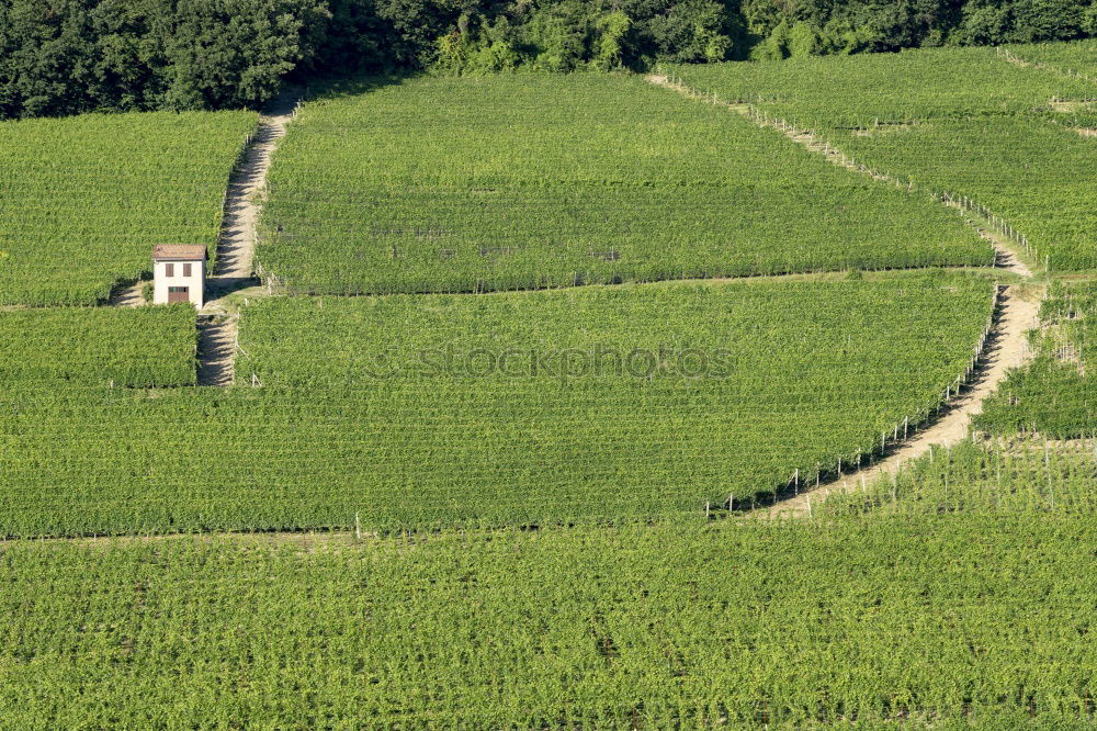 Similar – Image, Stock Photo pickaxe[2] Mole Hill