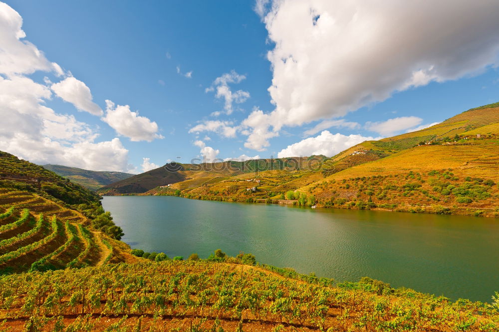 Similar – Image, Stock Photo Viticulture in the Douro Valley