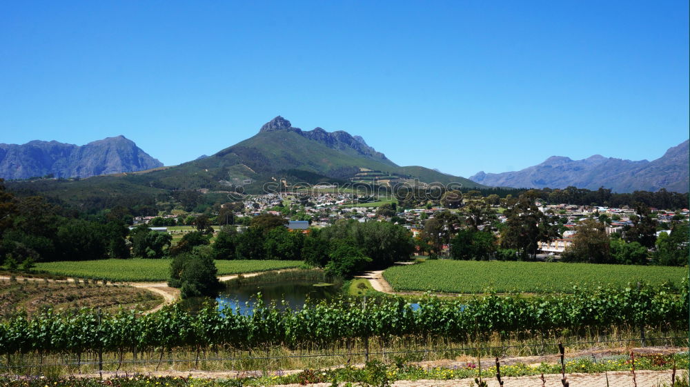 Similar – winelands