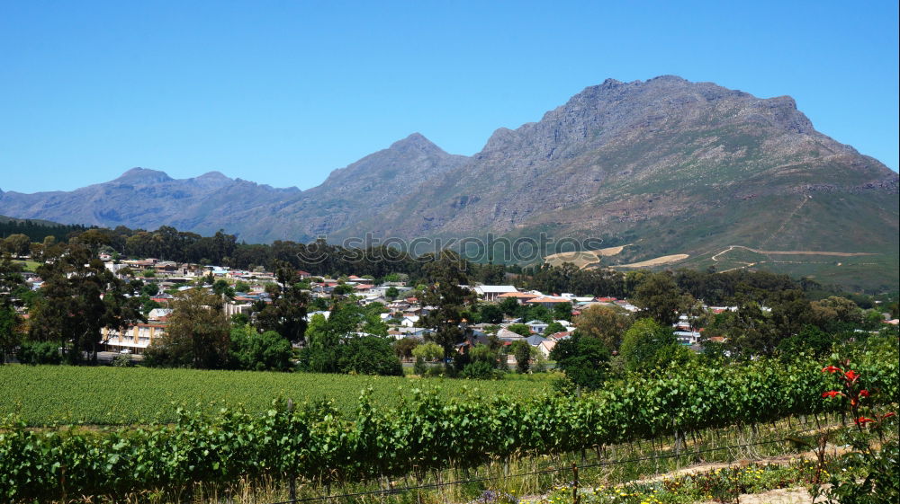 Similar – winelands