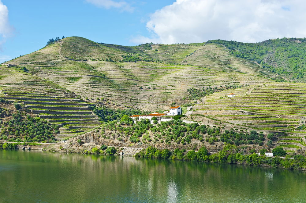 Image, Stock Photo Viticulture in the Douro Valley