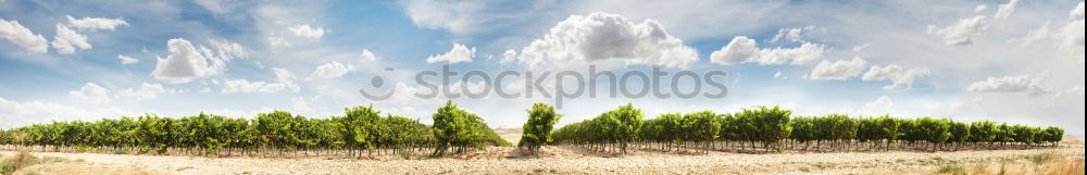 Similar – Image, Stock Photo V Environment Nature