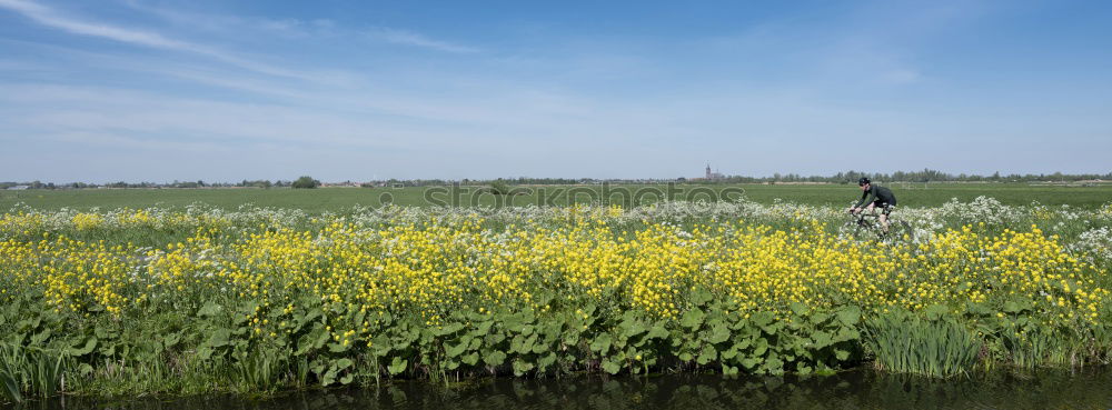 Similar – Image, Stock Photo the marshmallow plantation