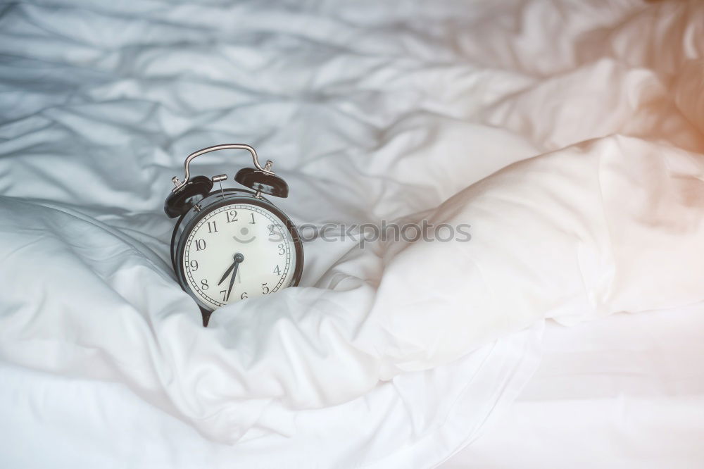 Similar – Image, Stock Photo cute dog lying on bed with an alarm clock