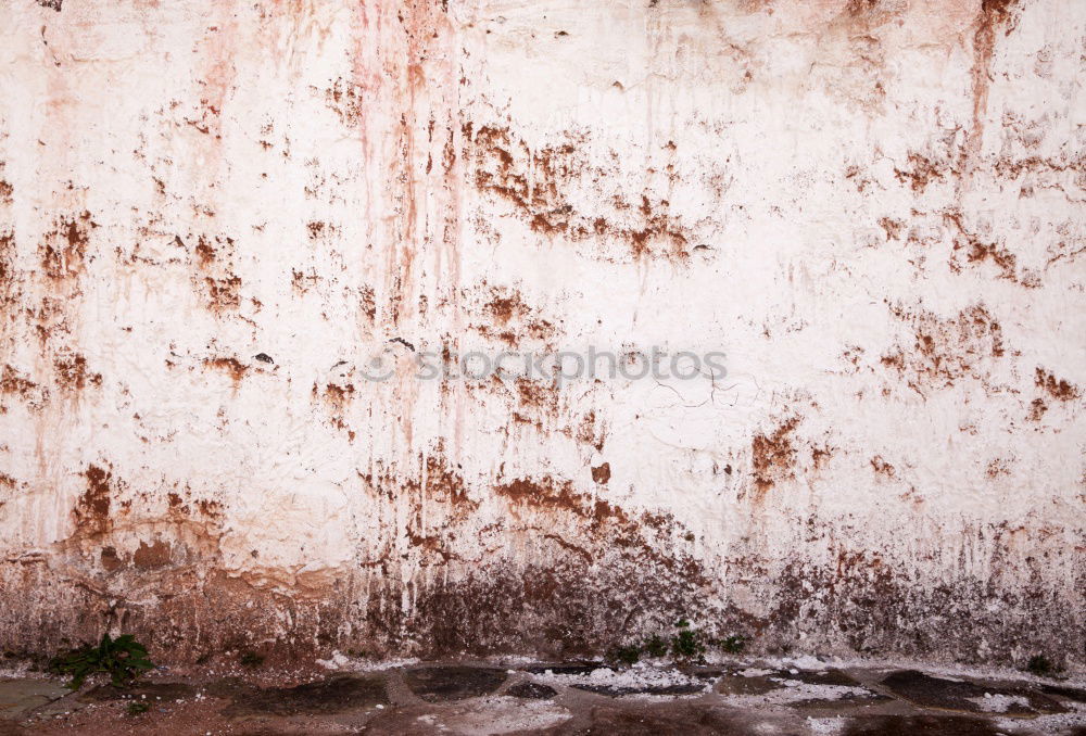 Similar – Image, Stock Photo milan in italy old church