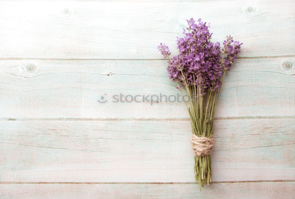 Similar – Garden Still Life Nature