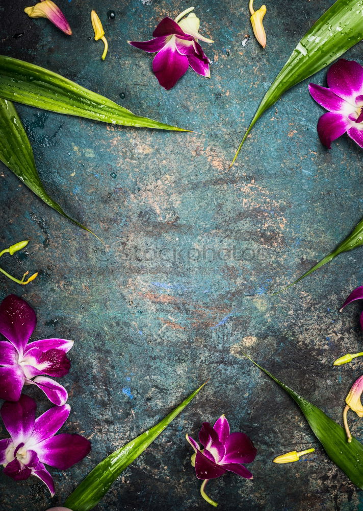 Similar – Image, Stock Photo Bowl with blue bath salt, shovel and flowers.