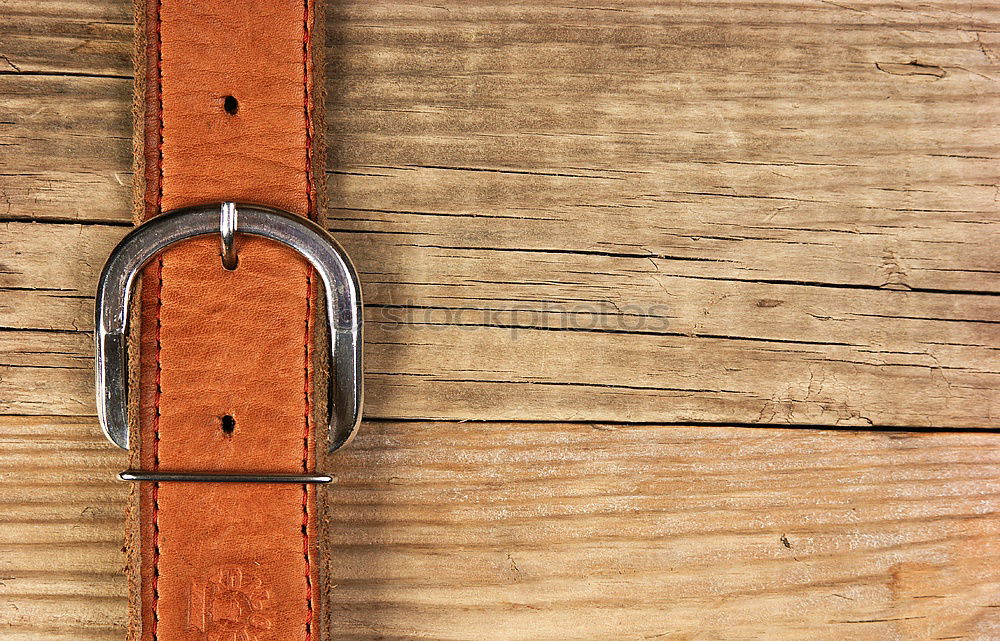 Similar – Image, Stock Photo Brown Leather Woman Bag Closeup