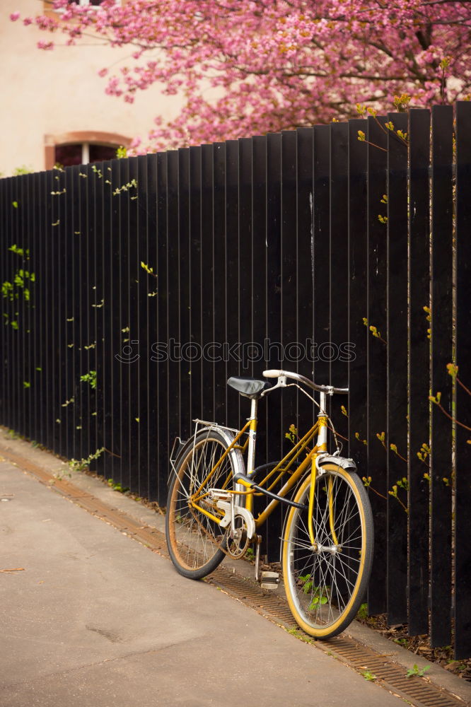 Similar – Image, Stock Photo 0,32s in dry conditions