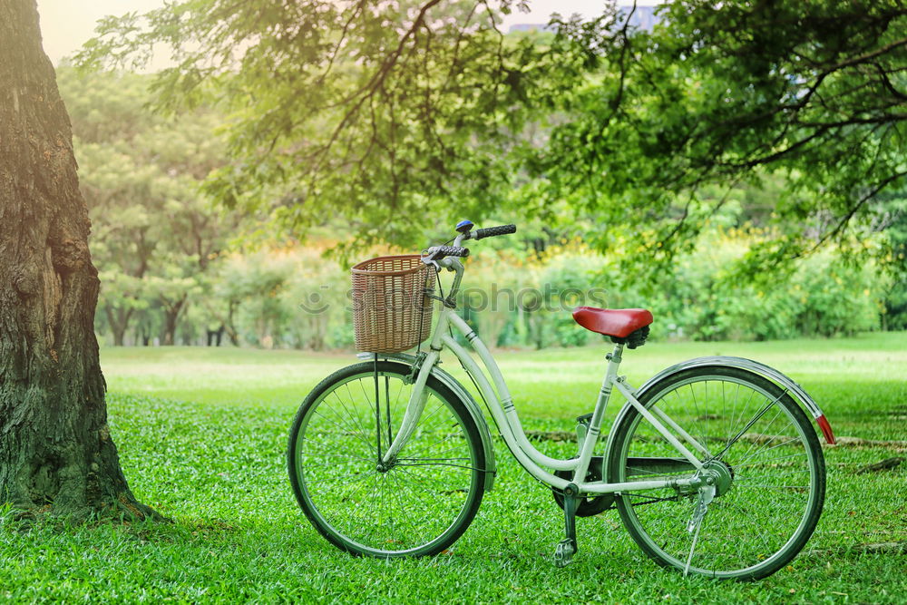 Image, Stock Photo Bicycle romance Healthy