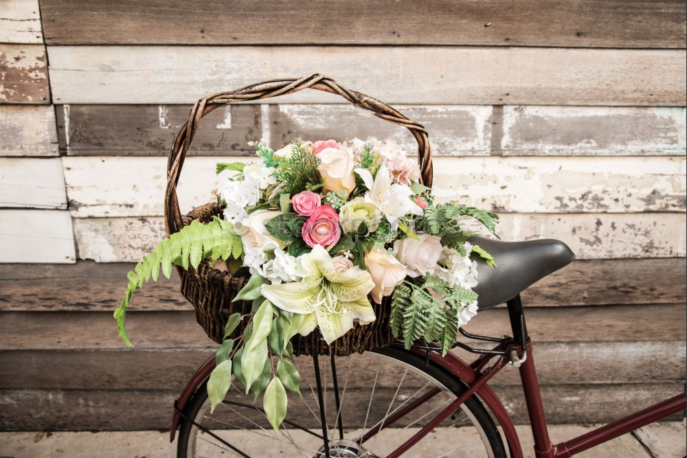 Image, Stock Photo Vintage bicycle with flower