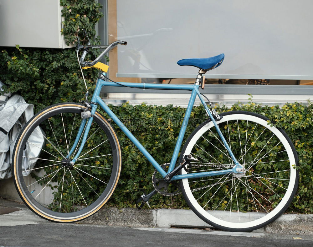 Similar – Image, Stock Photo Old ladies bike in summer in front of a green hedge on grey compound pavement in Oerlinghausen near Bielefeld in the Teutoburg Forest in East Westphalia-Lippe