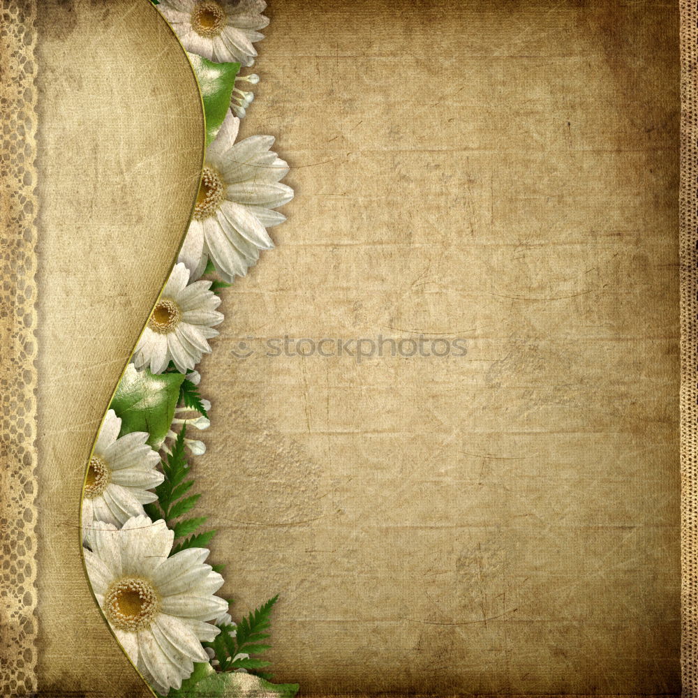 Similar – Tree blossoms on rustic background , Frame