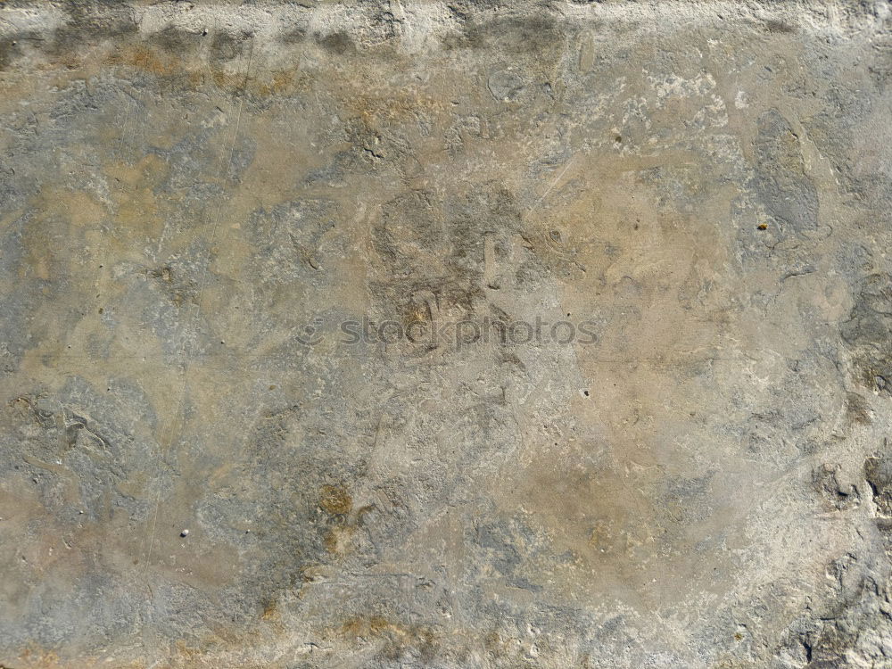 Similar – Image, Stock Photo í öllum veðrum
