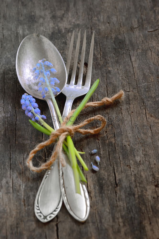 Spoon and fork on the plate framed with spices