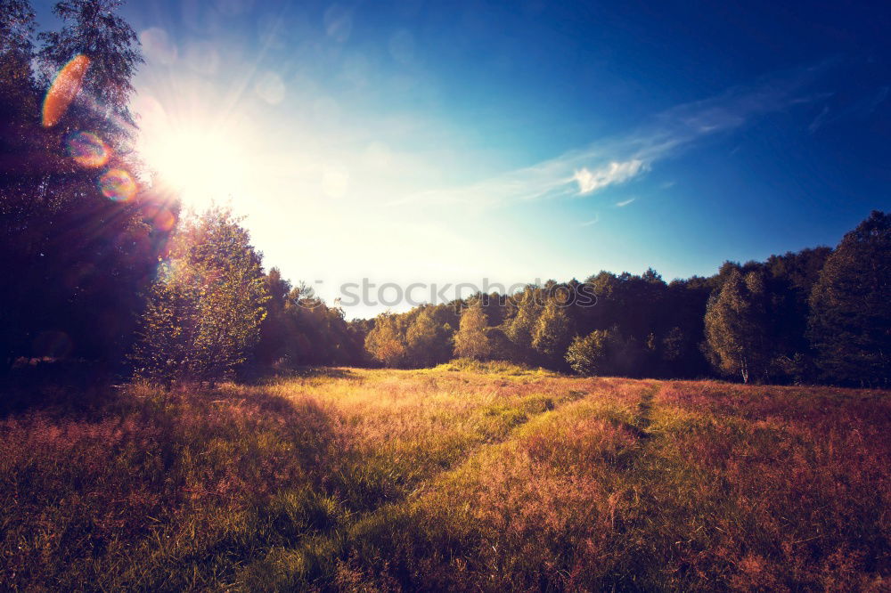 Image, Stock Photo daybreak Human being