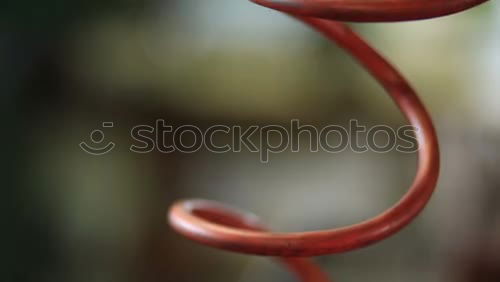 Similar – Image, Stock Photo Wet congratulations apple