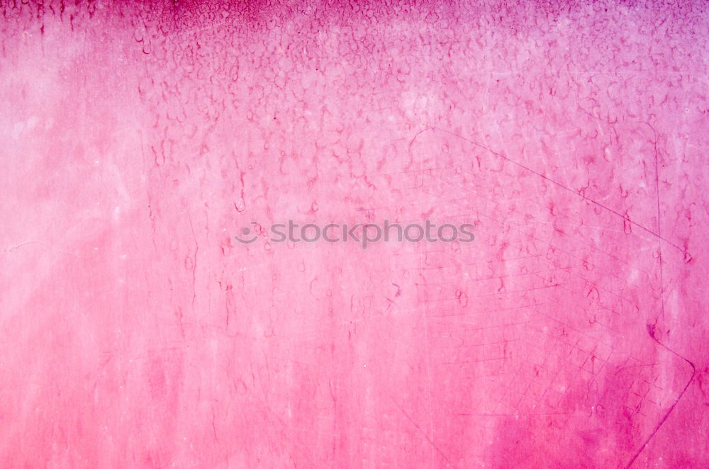 Similar – Image, Stock Photo blurred something pink