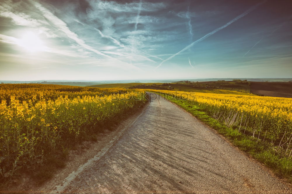 Similar – Paved Road Sky Rock Street