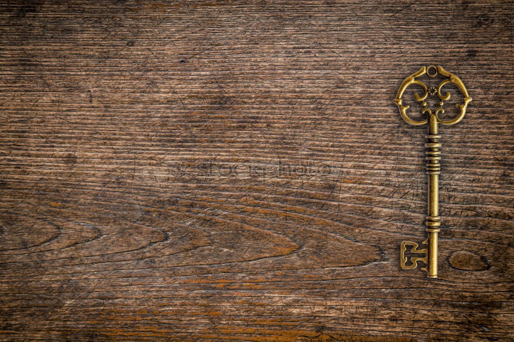 Similar – Image, Stock Photo Old rusty key with a paper label on the wooden board