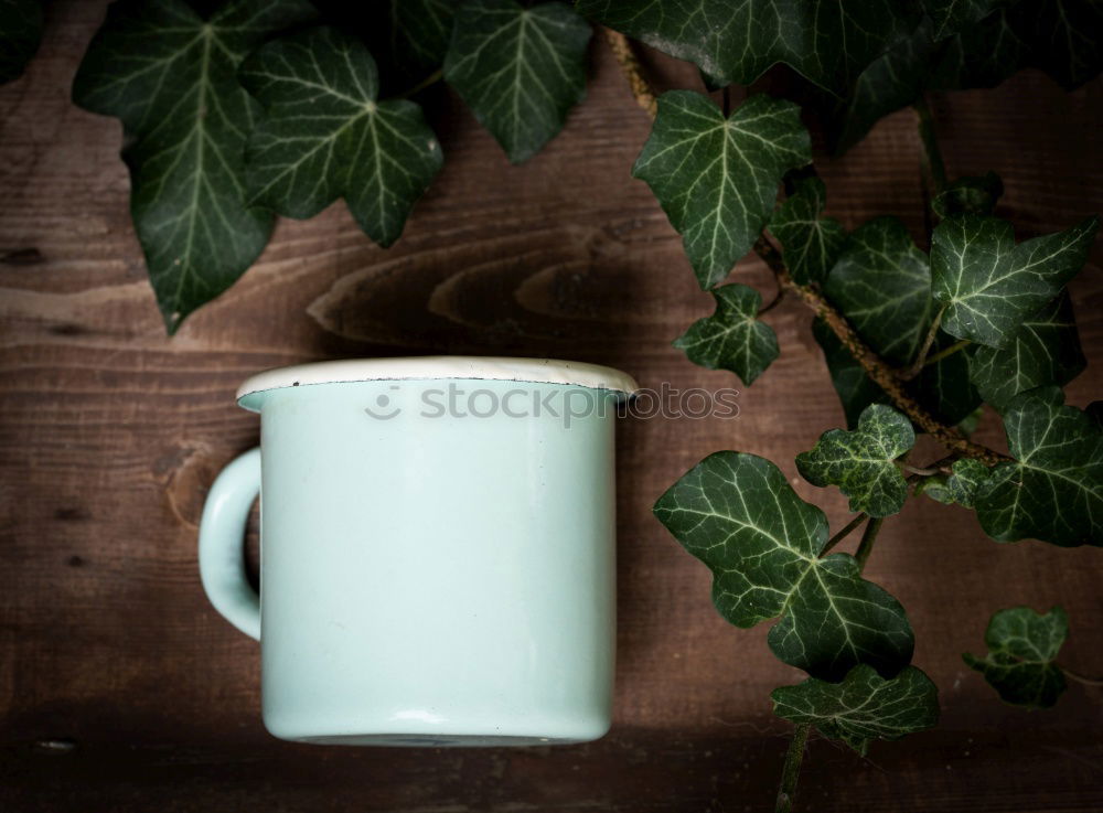 Similar – Image, Stock Photo misappropriated Plant