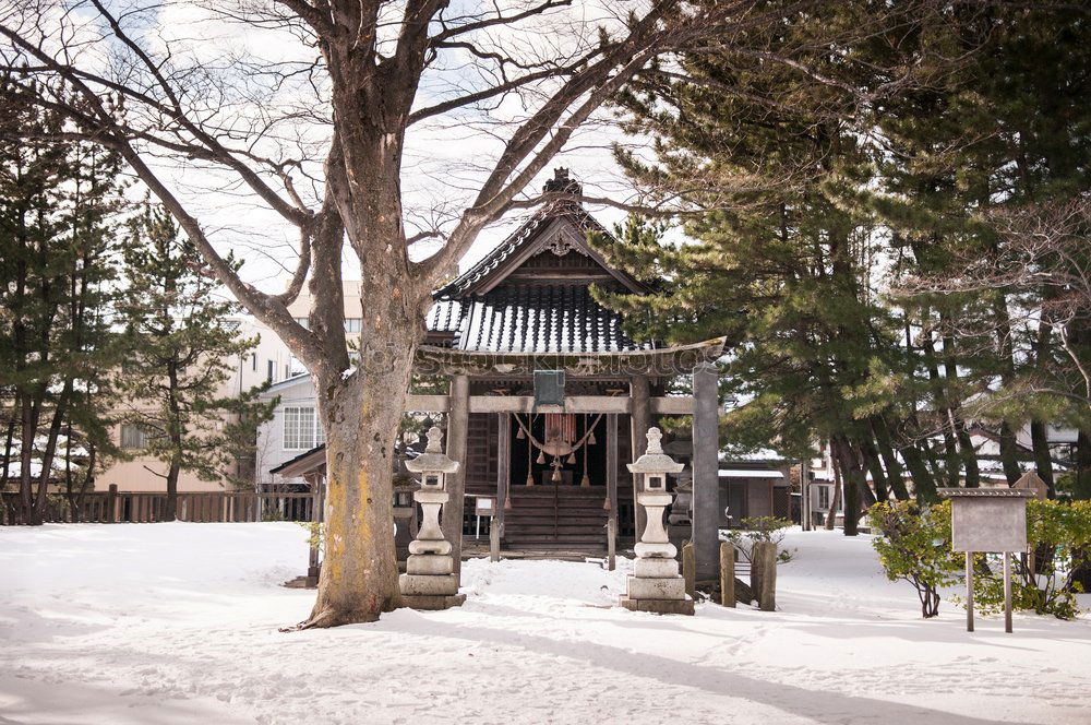 Image, Stock Photo Traditional Asian building in forest
