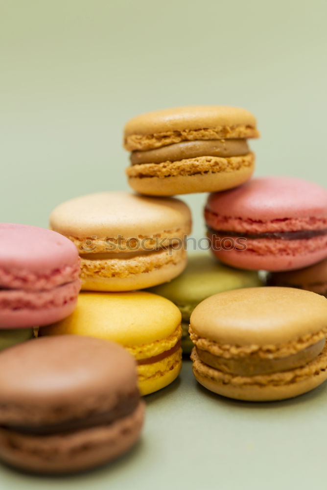 Similar – Image, Stock Photo Three colorful macarons stacked