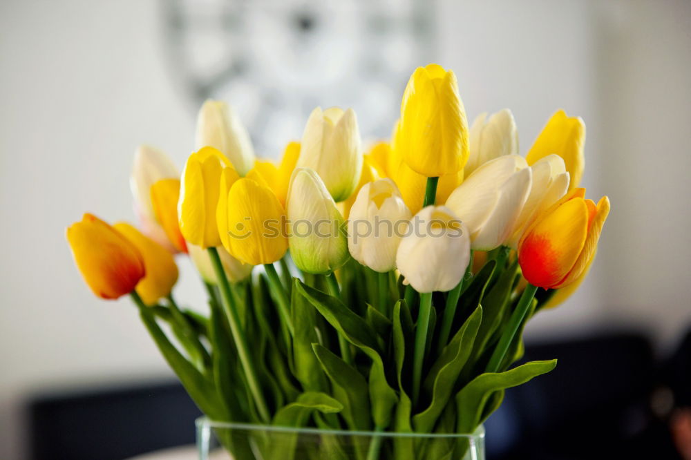 Similar – Spring Bouquet Easter Greeting Tulips