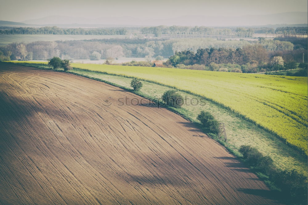 Similar – Image, Stock Photo melancholic